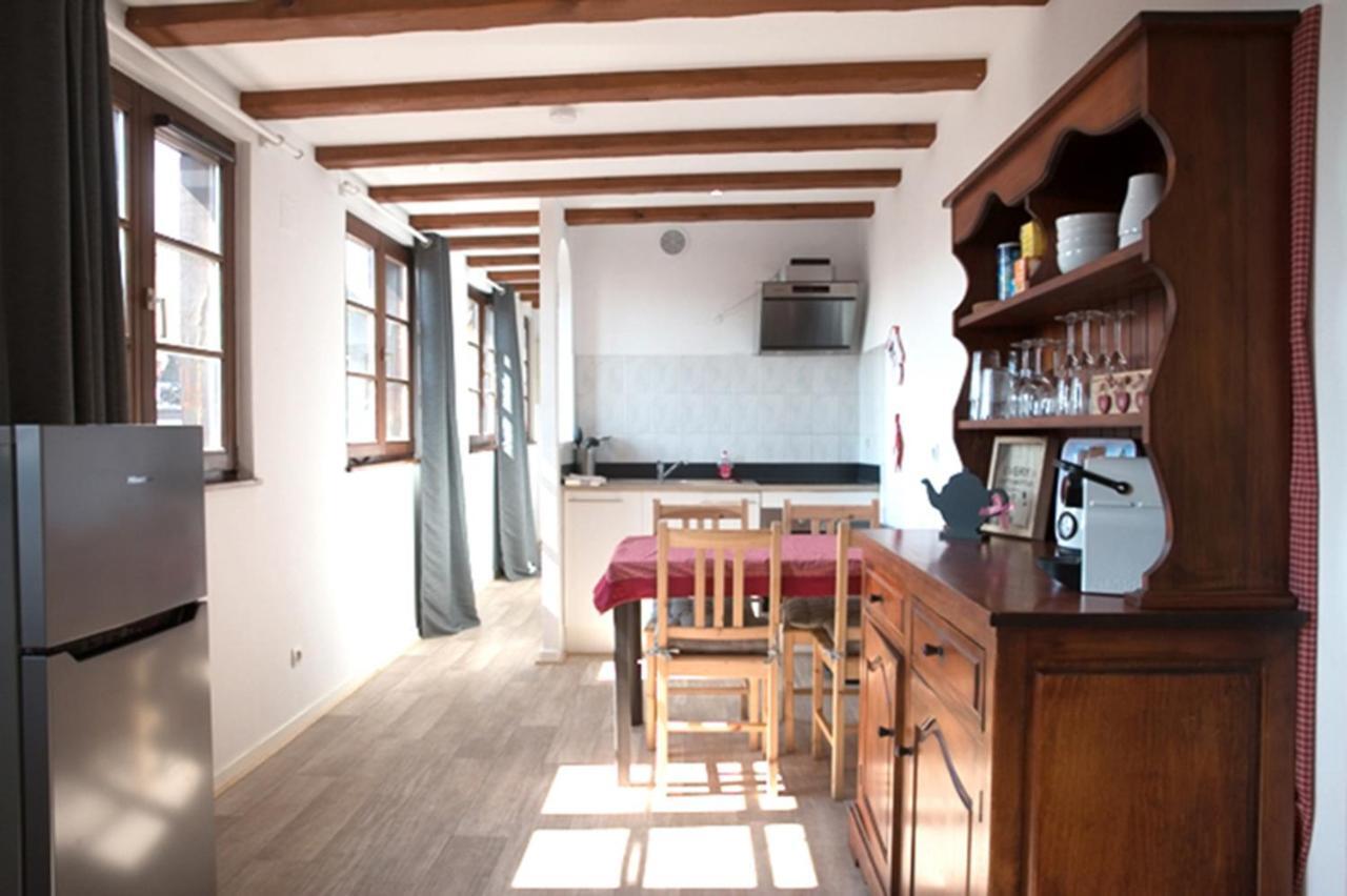 Les Tanneurs - Colmar Hyper Centre Apartment ภายนอก รูปภาพ